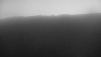 Snímek 7.11.2025 v 17:00