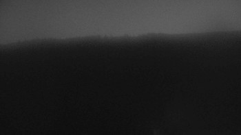 Snímek 7.11.2025 v 17:30