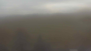 Snímek    8.11.2025 v 12:00