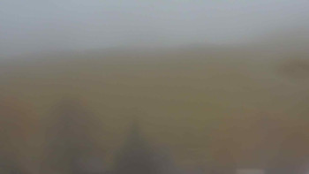 Snímek 8.11.2025 v 13:00