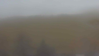 Snímek    8.11.2025 v 14:00