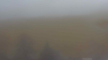 Snímek 9.11.2025 v 13:00