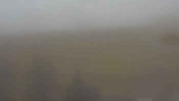 Snímek 16.11.2025 v 08:00