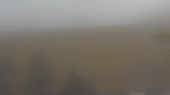 Snímek 16.11.2025 v 12:00