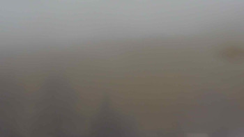 Snímek 17.11.2025 v 08:30