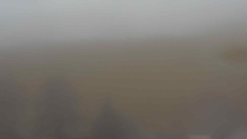 Snímek 17.11.2025 v 09:00