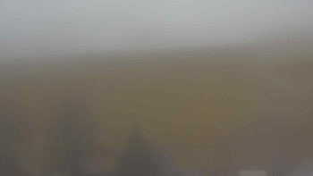 Snímek 17.11.2025 v 12:00