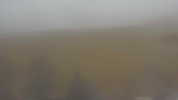 Snímek 17.11.2025 v 13:00