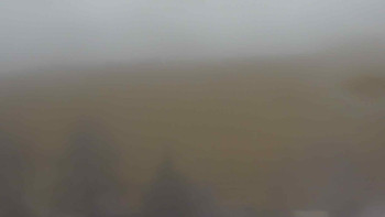 Snímek 17.11.2025 v 14:00