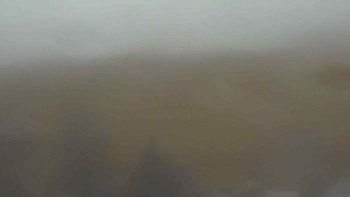 Snímek 17.11.2025 v 15:30