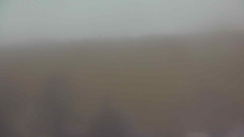 Snímek 17.11.2025 v 16:00