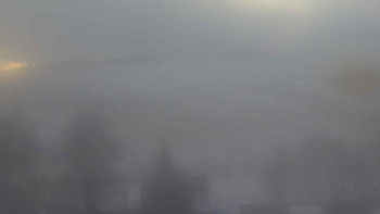 Snímek 18.11.2025 v 14:30