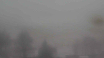 Snímek    19.11.2025 v 11:00