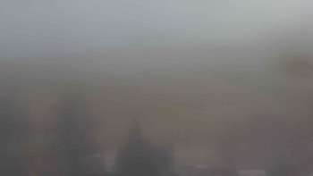 Snímek    20.11.2025 v 11:00