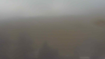 Snímek    20.11.2025 v 12:30