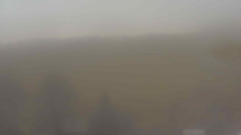 Snímek    20.11.2025 v 14:30