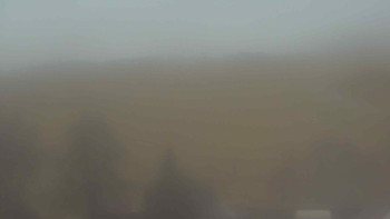 Snímek    21.11.2025 v 07:30