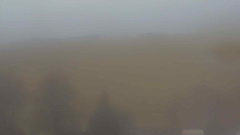 Snímek 21.11.2025 v 08:30