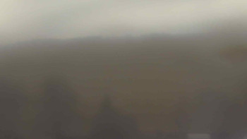 Snímek    21.11.2025 v 14:30