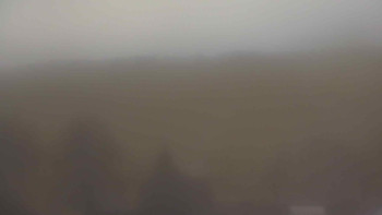 Snímek 21.11.2025 v 16:00