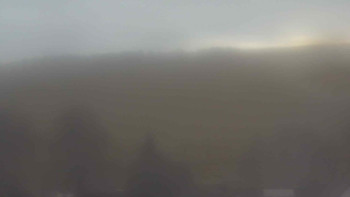 Snímek 23.11.2025 v 14:00