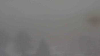 Snímek    24.11.2025 v 08:30