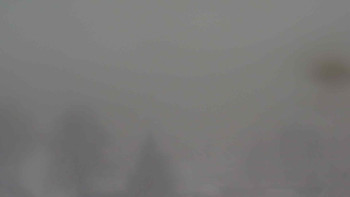 Snímek    24.11.2025 v 09:30