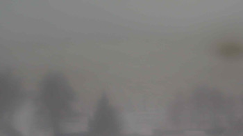 Snímek    24.11.2025 v 11:30