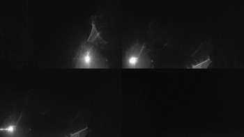Snímek    25.10.2025 v 23:30