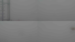 Stará ves - Sdružený snímek - 14.11.2025 v 11:30 Stará ves - Sdružený snímek - 14.11.2025 v 11:30