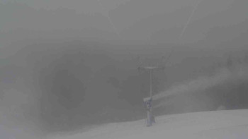 Snímek 19.11.2025 v 12:31