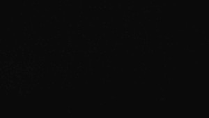 Ski Karlov - areál Karlov - Vyhlídková - 19.12.2025 v 01:31