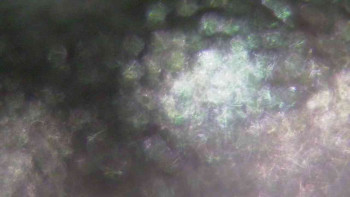 Ski Karlov - areál Karlov