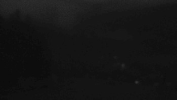 Snímek    14.9.2025 v 06:01