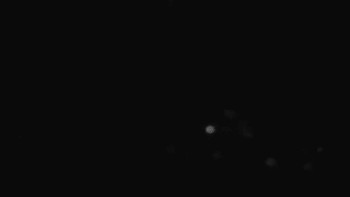 Snímek    18.9.2025 v 22:01