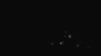 Snímek    27.10.2025 v 21:01