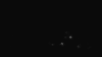 Snímek    28.10.2025 v 19:31