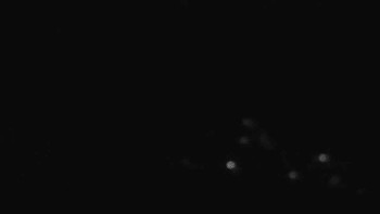 Snímek    29.10.2025 v 19:01