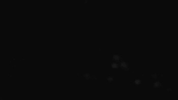 Snímek    1.11.2025 v 04:31