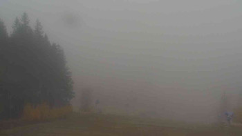 Snímek    1.11.2025 v 08:31