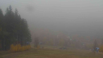 Snímek    1.11.2025 v 09:01