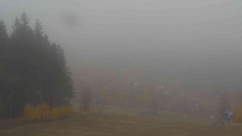 Snímek    1.11.2025 v 11:01