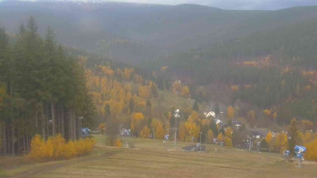 Snímek    2.11.2025 v 07:31