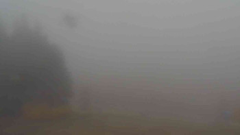 Snímek    2.11.2025 v 08:31