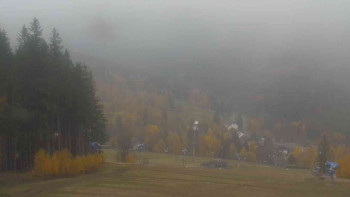 Snímek    2.11.2025 v 11:31