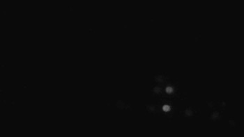 Snímek    2.11.2025 v 18:31