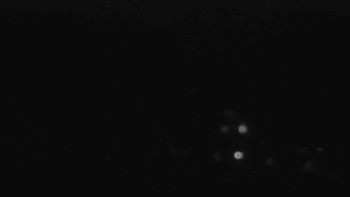 Snímek    3.11.2025 v 06:01