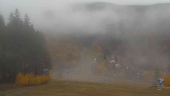 Snímek    3.11.2025 v 07:01