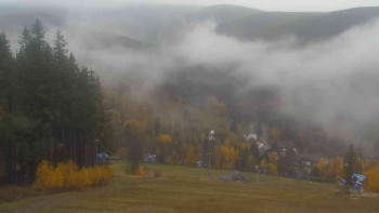 Snímek    3.11.2025 v 10:01