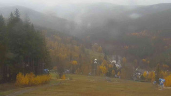 Snímek    3.11.2025 v 13:01